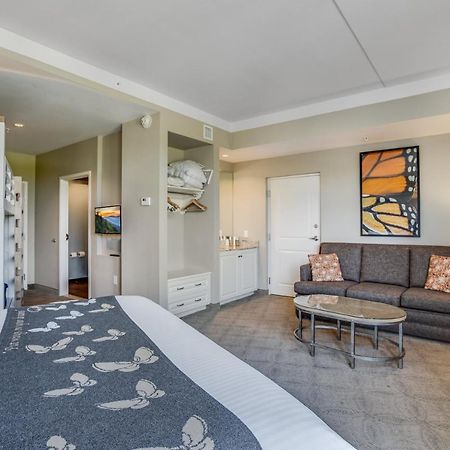 Dollywood'S Dreammore Resort And Spa Пиджен-Фордж Экстерьер фото